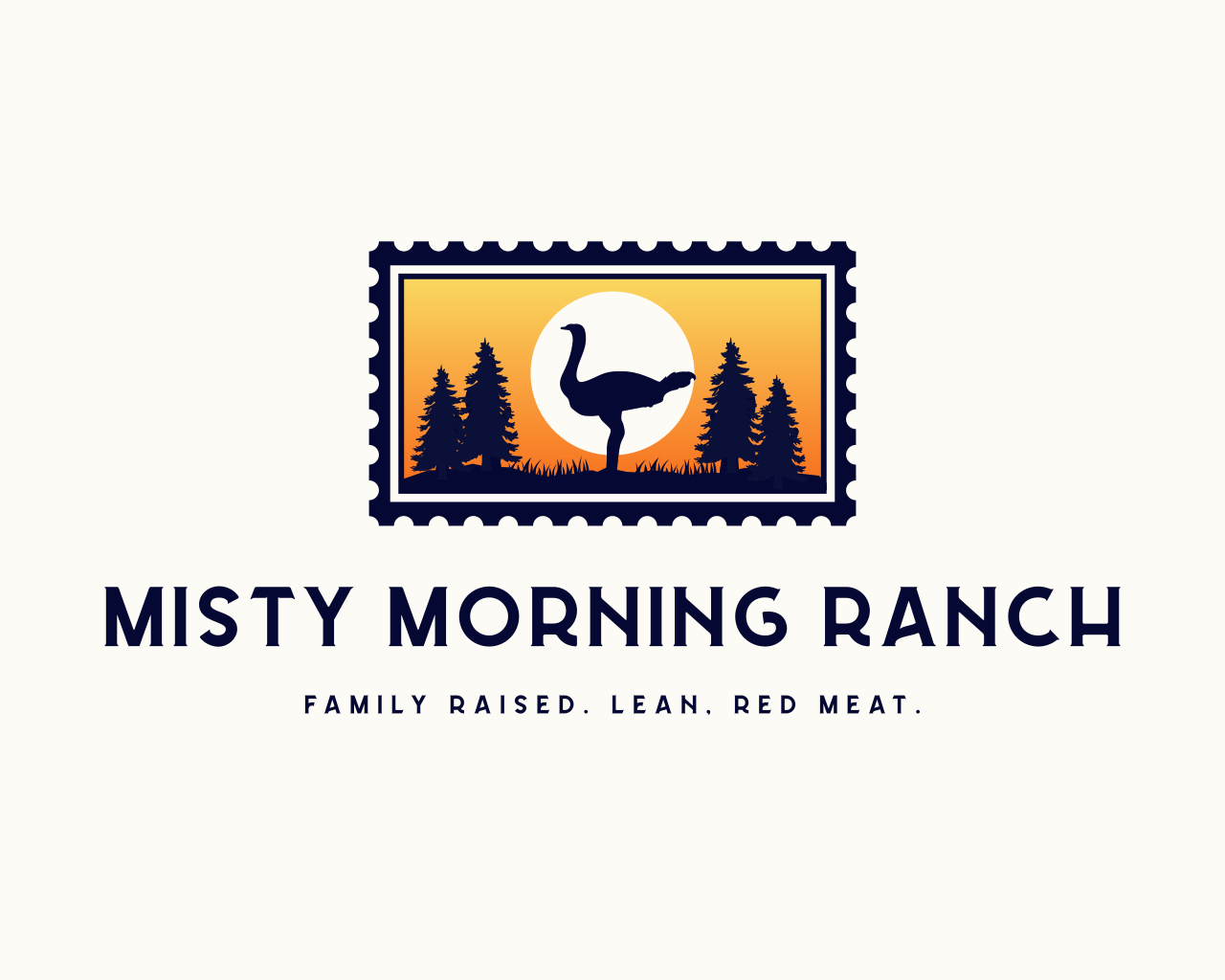 Misty Morning Ranch